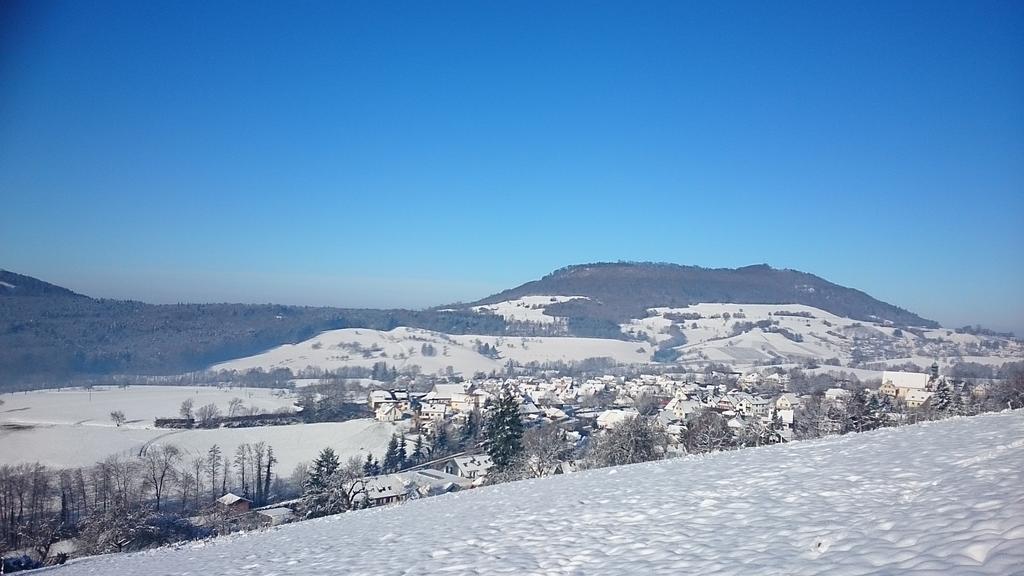 Familien Themen-Appartement Freiburg In Soelden 2 Schlafzimmer Eksteriør bilde
