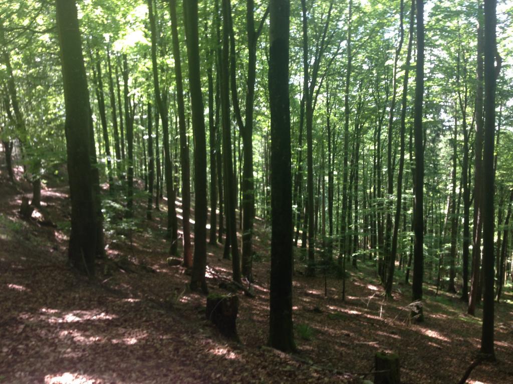 Familien Themen-Appartement Freiburg In Soelden 2 Schlafzimmer Eksteriør bilde
